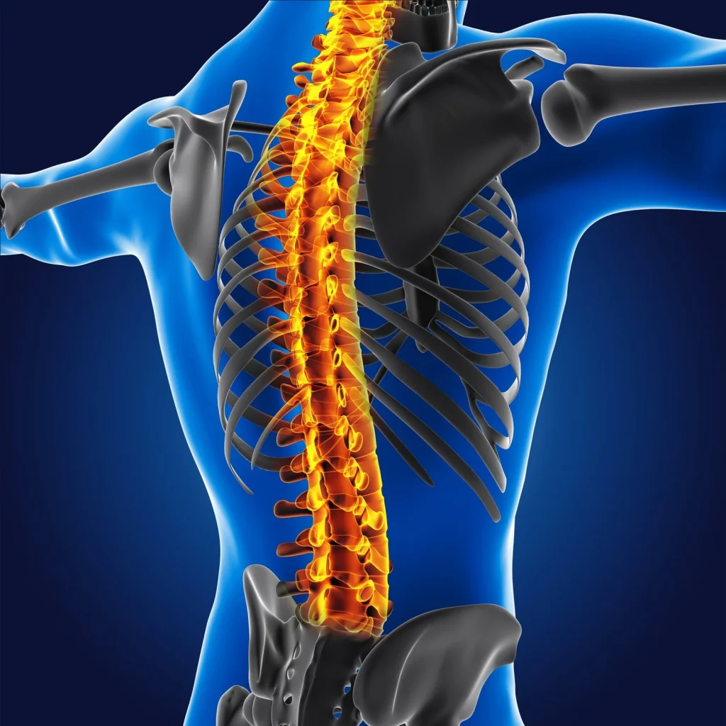 imagen-valor-de-tac-de-columna-lumbar