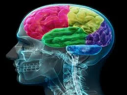 imagen-valor-de-resonancia-magnética-cerebral